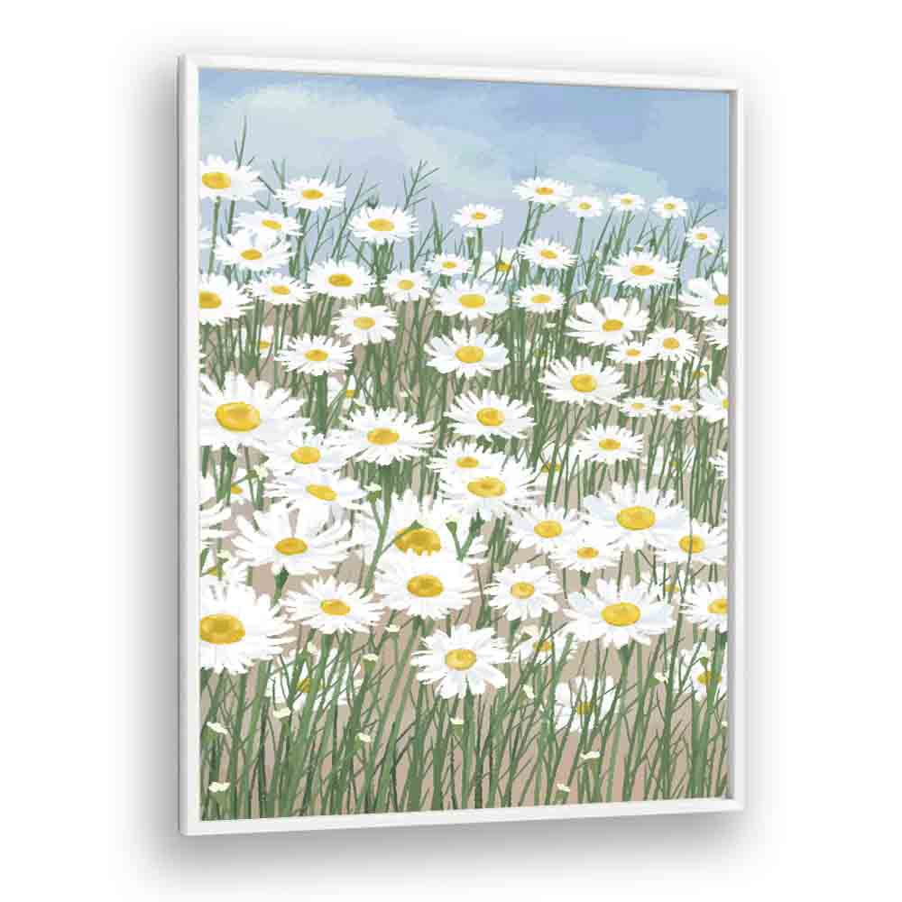 Daisies In The Sky  Botanical Flower Paintings Artwork  in White Plain Frame