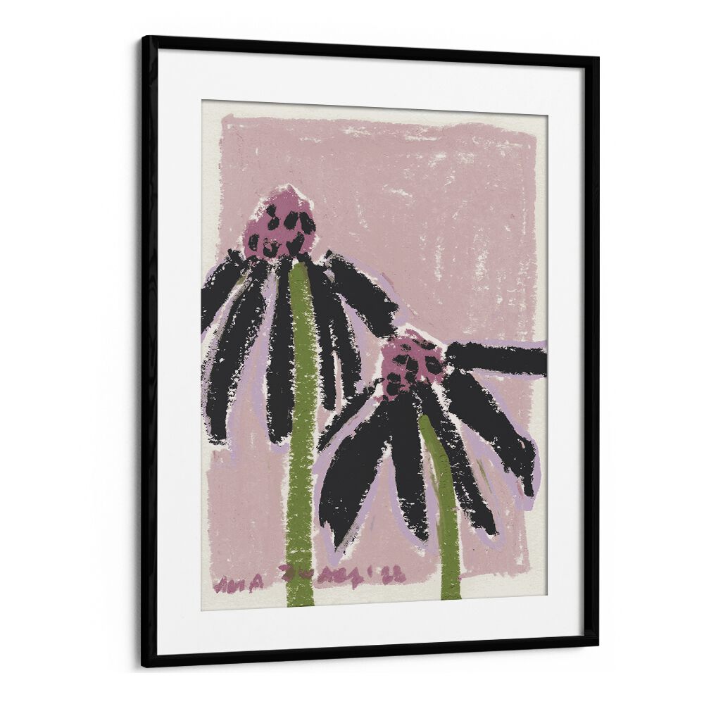 Echinacea Pale By Ania Zwara Botanical Flower Paintings Artwork  in Black Frame With Mount