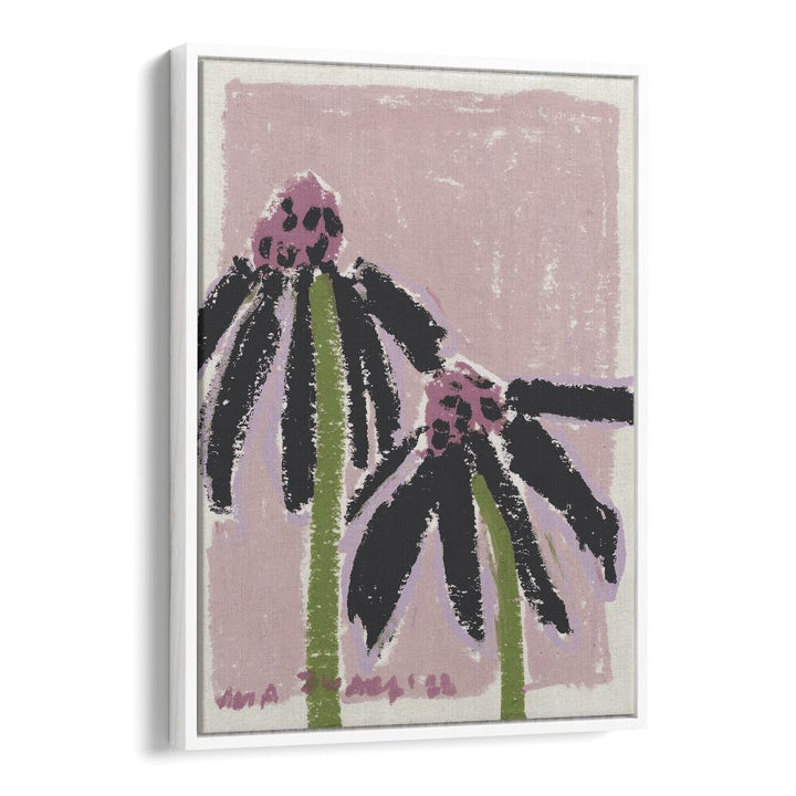 Echinacea Pale By Ania Zwara Botanical Flower Paintings Artwork  in White Floater Frame