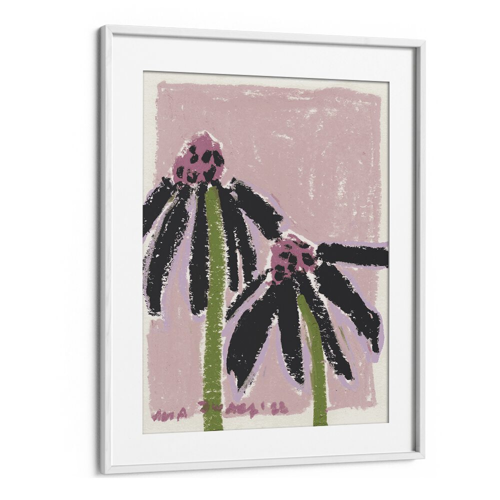 Echinacea Pale By Ania Zwara Botanical Flower Paintings Artwork  in White frame With Mount