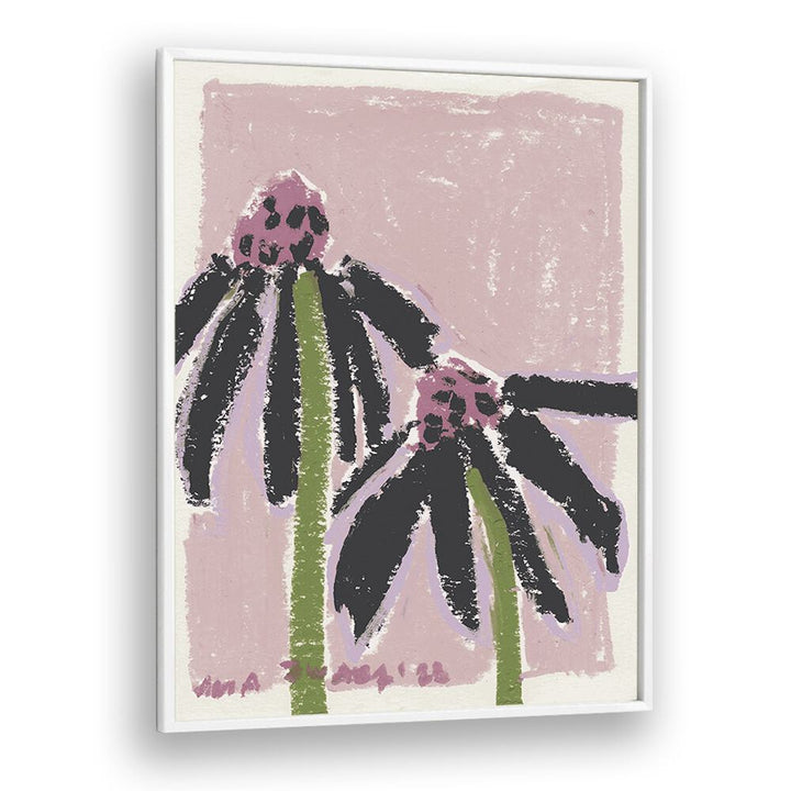 Echinacea Pale By Ania Zwara Botanical Flower Paintings painting Artwork  in White Plain Frame