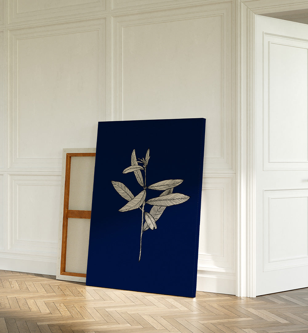ELEGANT BOTANICAL DRAWING