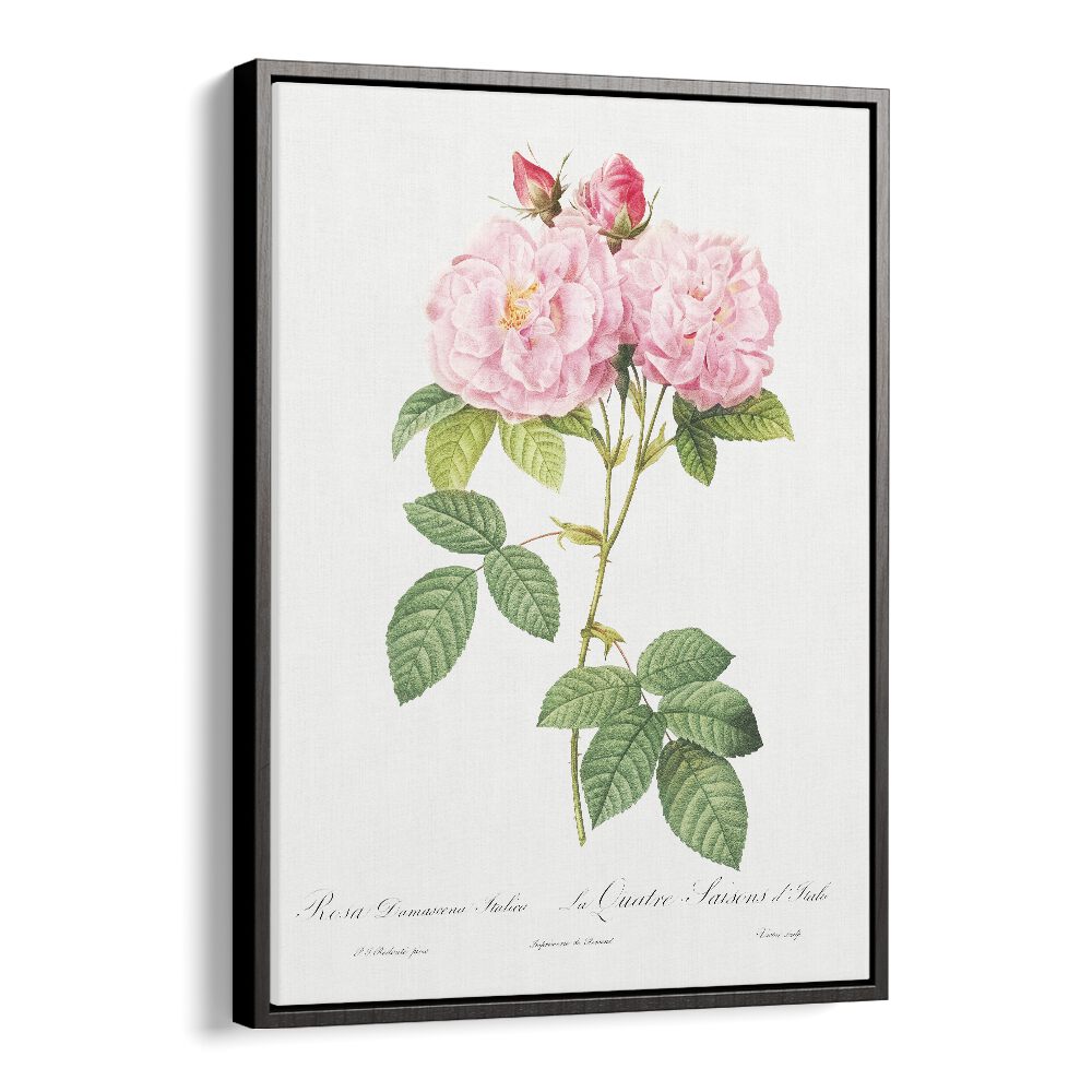 Eleganza Floreale    Botanical Flower Paintings Artwork  in Black Floater Frame