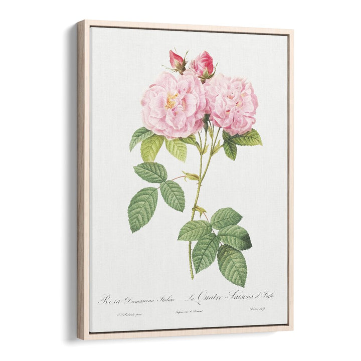 Eleganza Floreale    Botanical Flower Paintings Artwork in Oak Wood Floater Frame