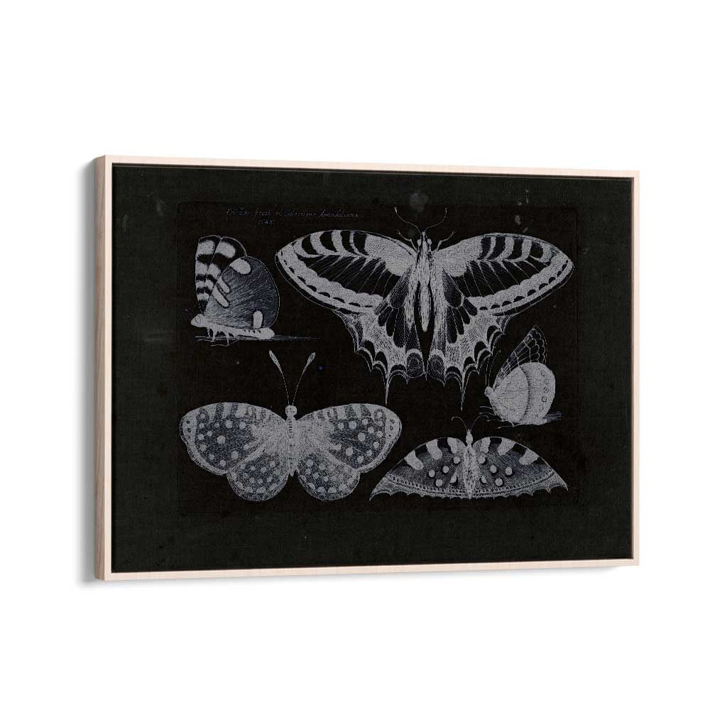 Ethereal Symphony Harmonizing With Butterfly Whispers Gothic Art Prints in Oak Wood Floater Frame