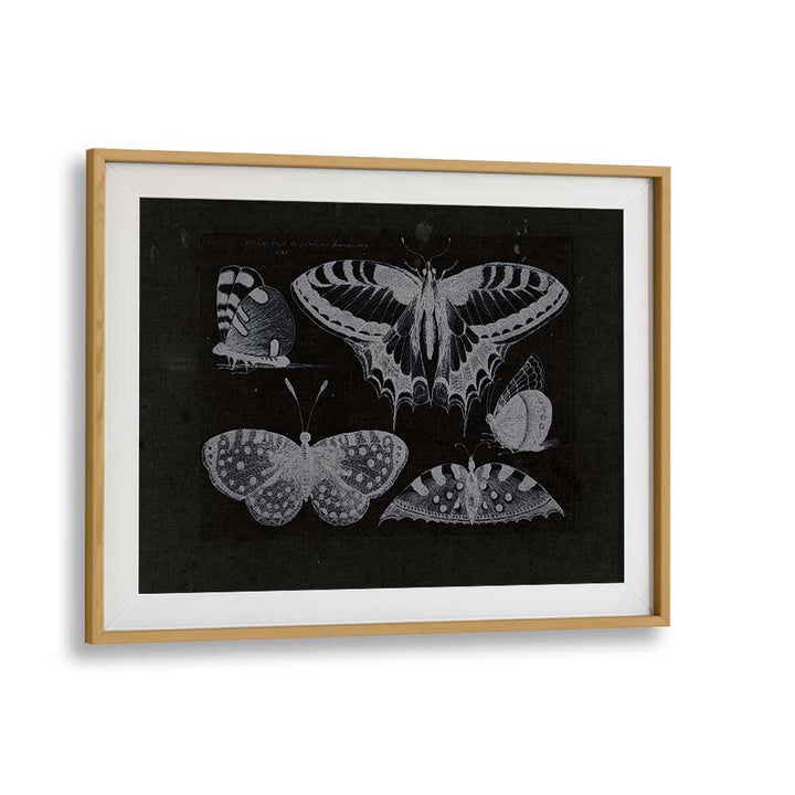 Ethereal Symphony Harmonizing With Butterfly Whispers Gothic Art Prints in Oak Wood Frame With Mount