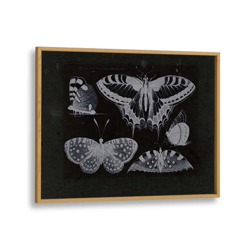 Ethereal Symphony Harmonizing With Butterfly Whispers Gothic Art Prints in Oak Wood Plain Frame