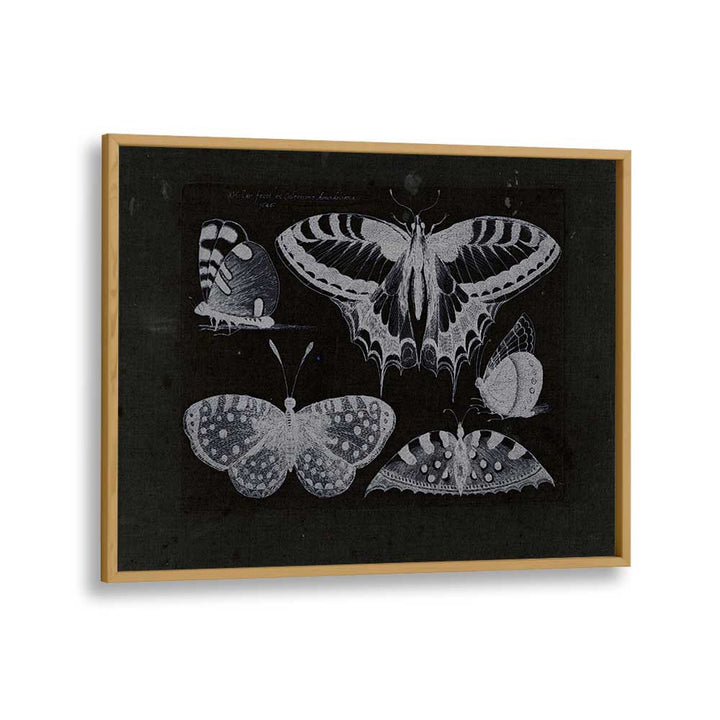 Ethereal Symphony Harmonizing With Butterfly Whispers Gothic Art Prints in Oak Wood Plain Frame