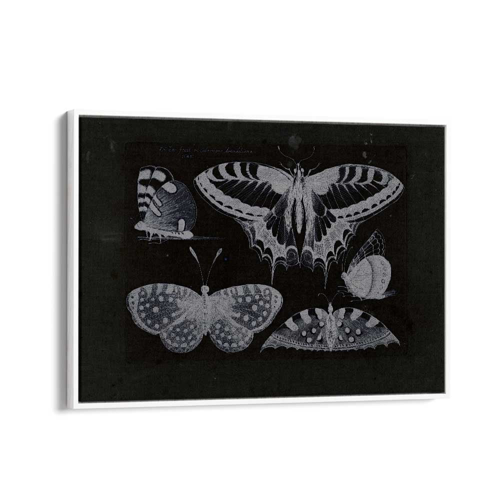 Ethereal Symphony Harmonizing With Butterfly Whispers Gothic Art Prints in White Floater Frame