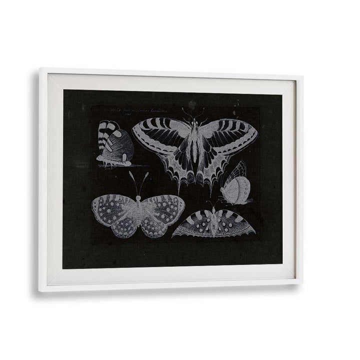 Ethereal Symphony Harmonizing With Butterfly Whispers Gothic Art Prints in White Frame With Mount