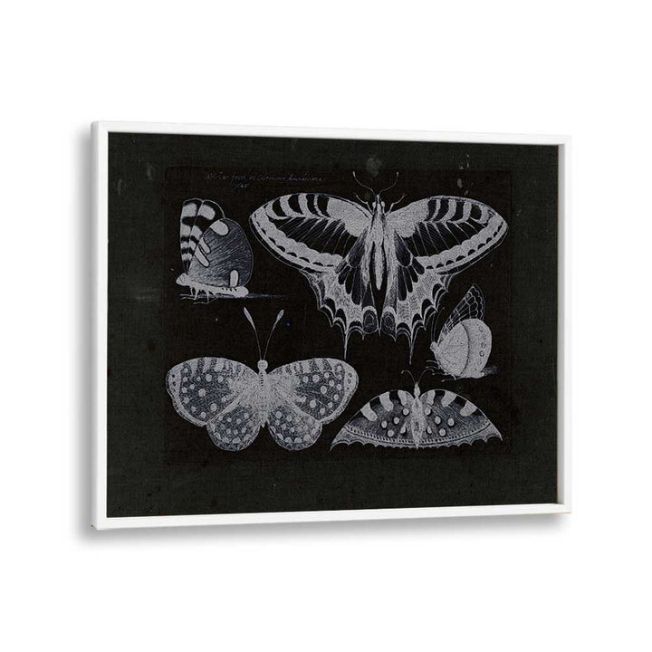 Ethereal Symphony Harmonizing With Butterfly Whispers Gothic Art Prints in White Plain Frame