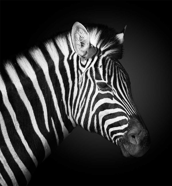 FEGARI - PHOTOGRAPHER