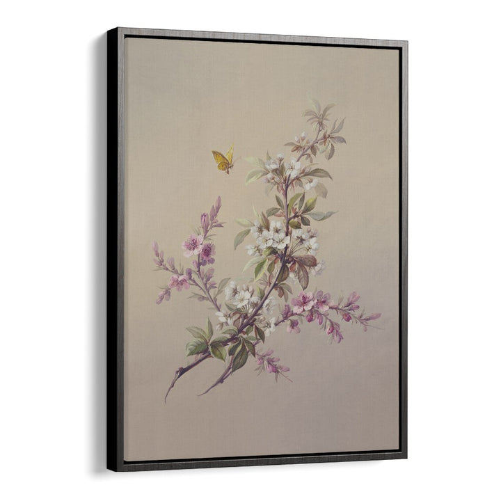 Flowers & Butterflies Botanical Flower Paintings Artwork  in Black Floater Frame