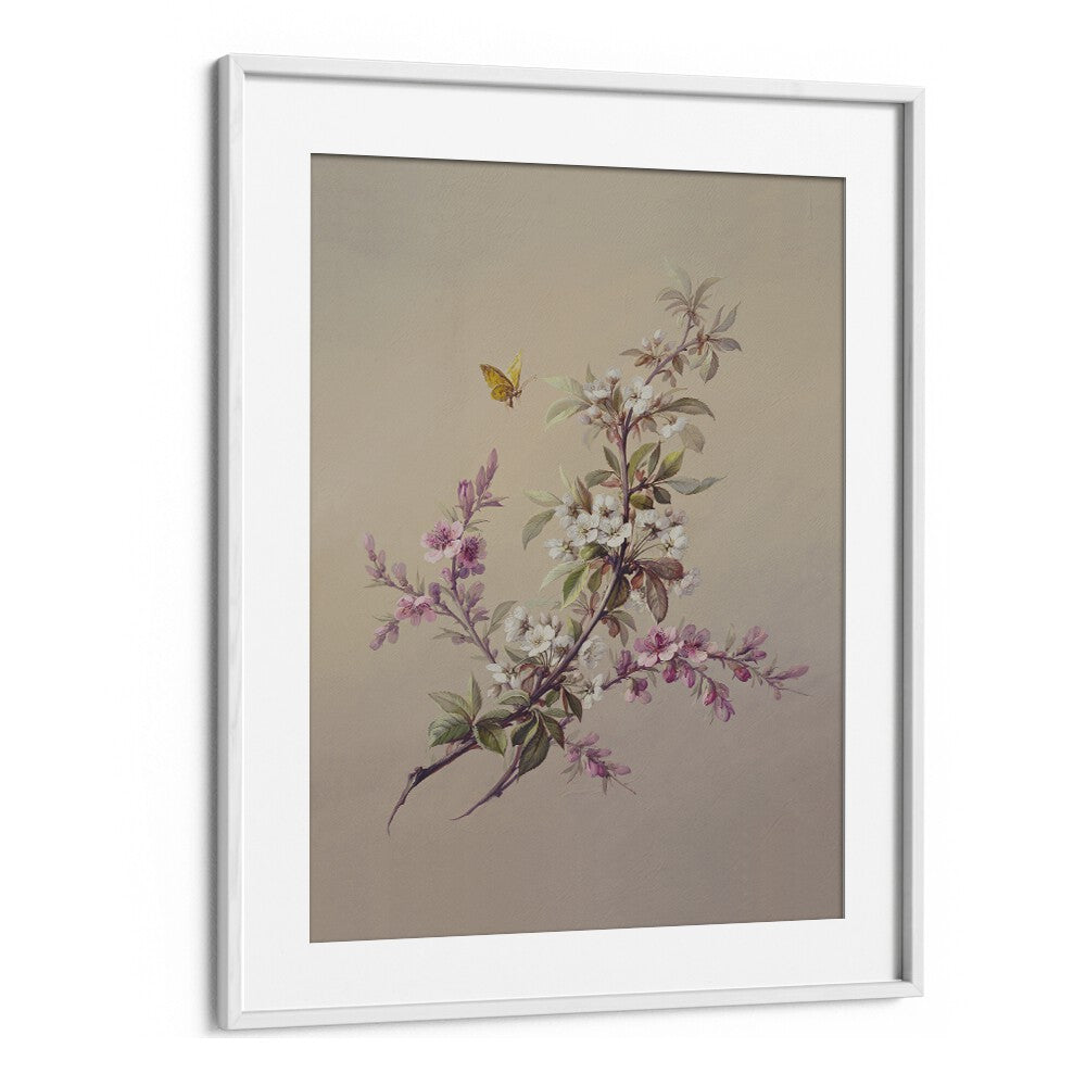 Flowers & Butterflies Botanical Flower Paintings Paintings Artwork  in White frame With Mount