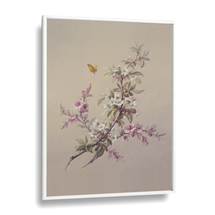 Flowers & Butterflies Botanical Flower Paintings Artwork  in White Plain Frame