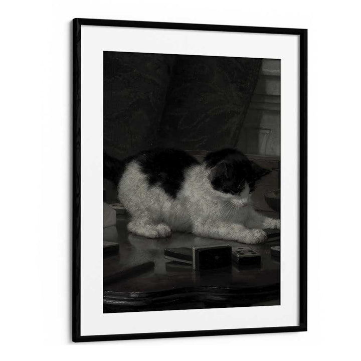 Feline Majesty The Enigmatic Cat Gothic Art Prints in Black Frame With Mount