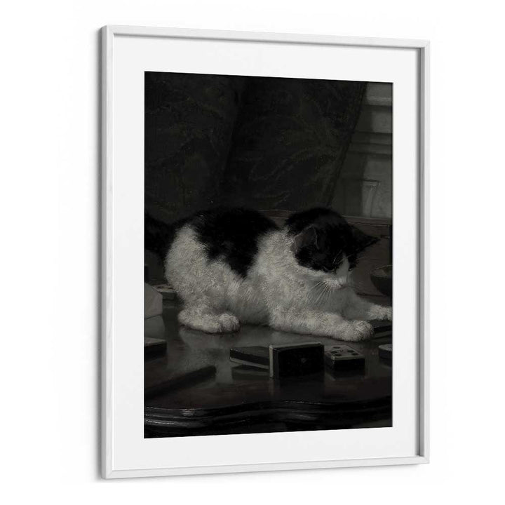 Feline Majesty The Enigmatic Cat Gothic Art Prints in White Frame With Mount