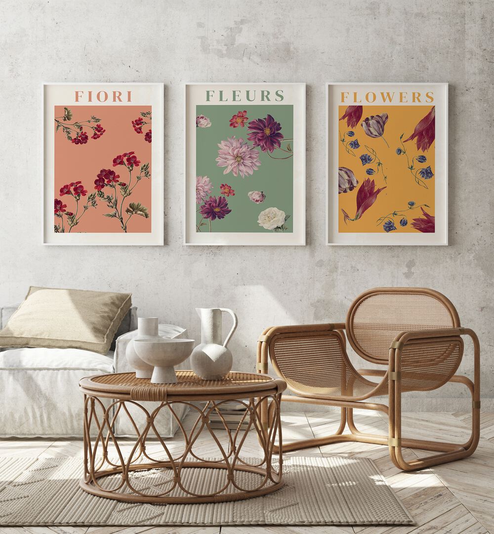 Fiori Set Set Of 3 Paintings in White Plain Frame placed on a wall behind a sofa and a chair