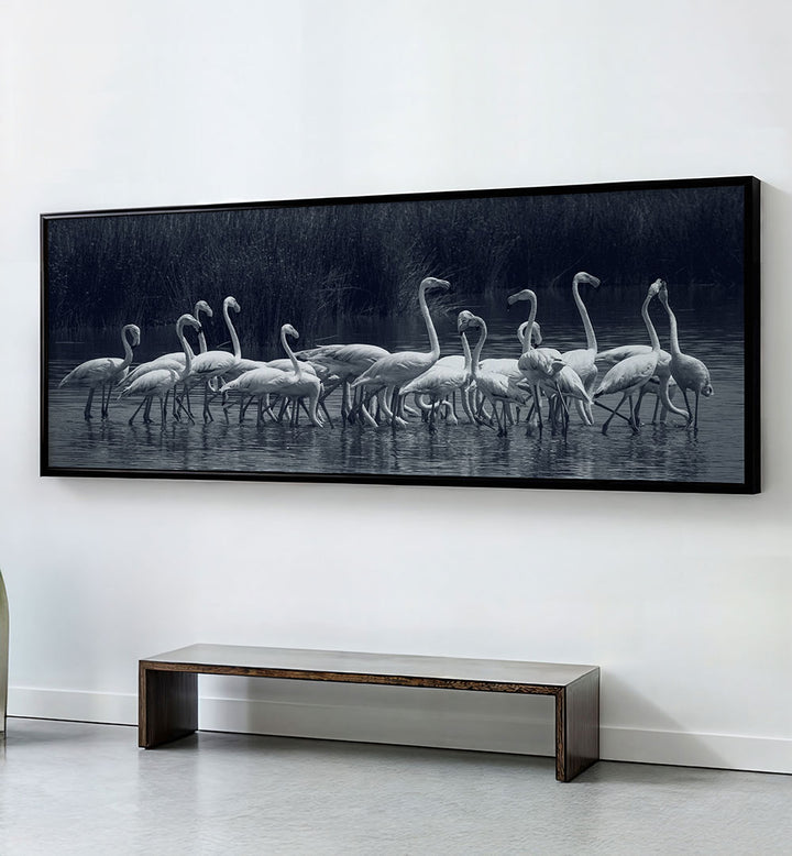 FLAMINGOS , PANORAMIC ART
