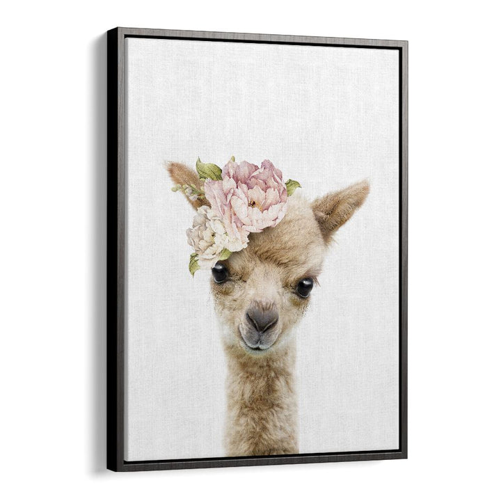 Floral Baby Llama By Lola Peacock Kids Room Paintings in Black Floater Frame