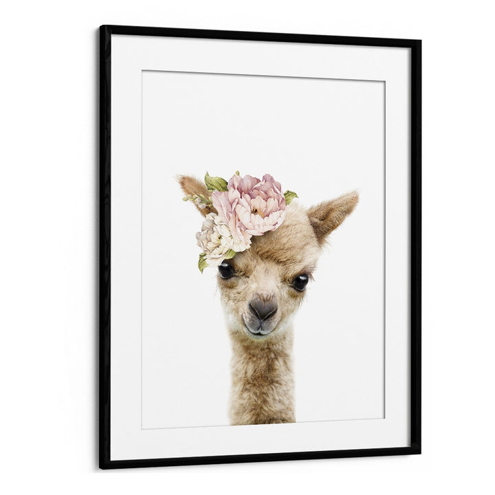 Floral Baby Llama By Lola Peacock Kids Room Paintings in Black Frame With Mount