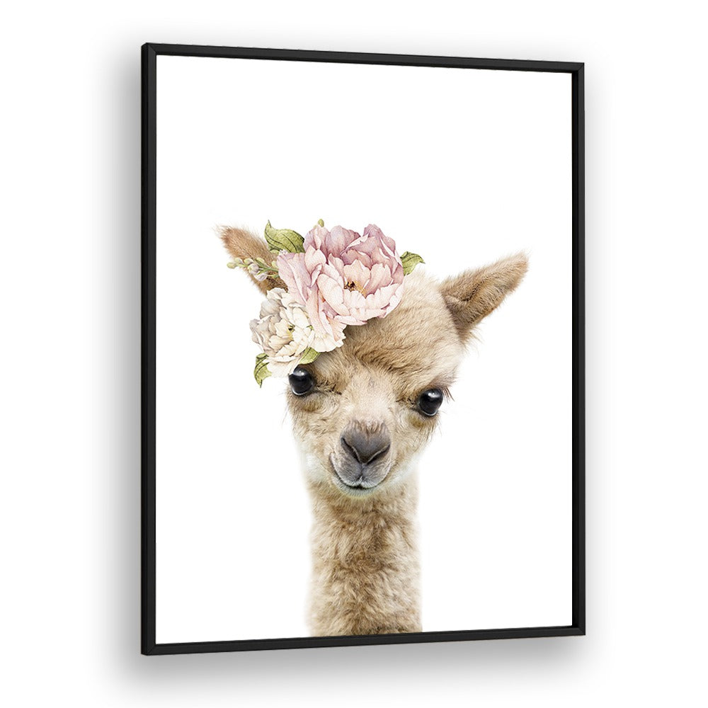 Floral Baby Llama By Lola Peacock Kids Room Paintings in Black Plain Frame