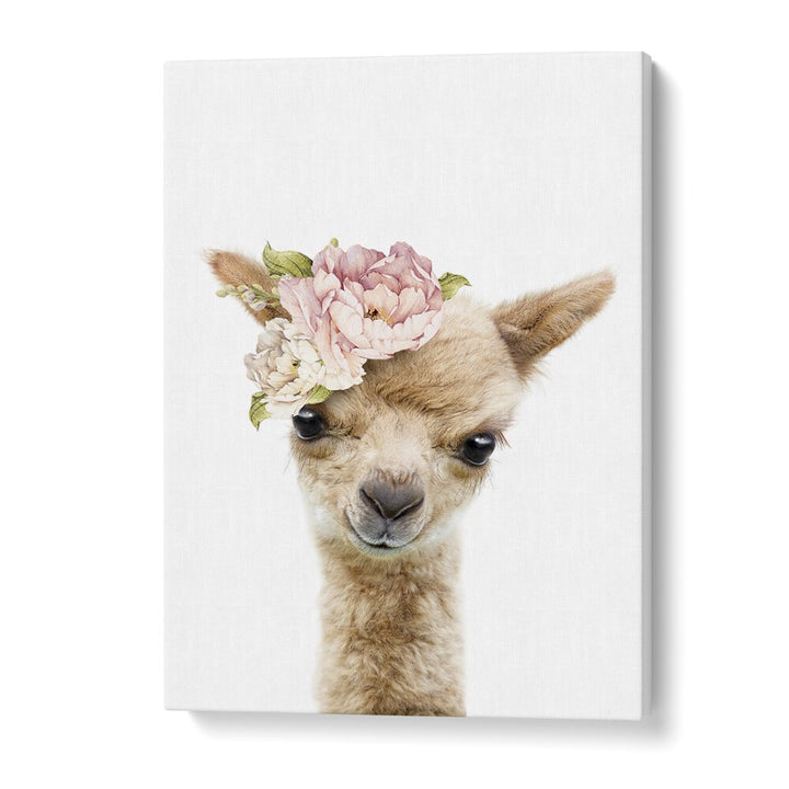 Floral Baby Llama By Lola Peacock Kids Room Paintings in Gallery Wrap