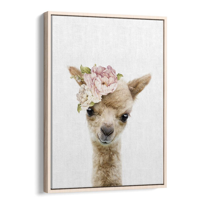 Floral Baby Llama By Lola Peacock Kids Room Paintings in Oak Wood Floater Frame