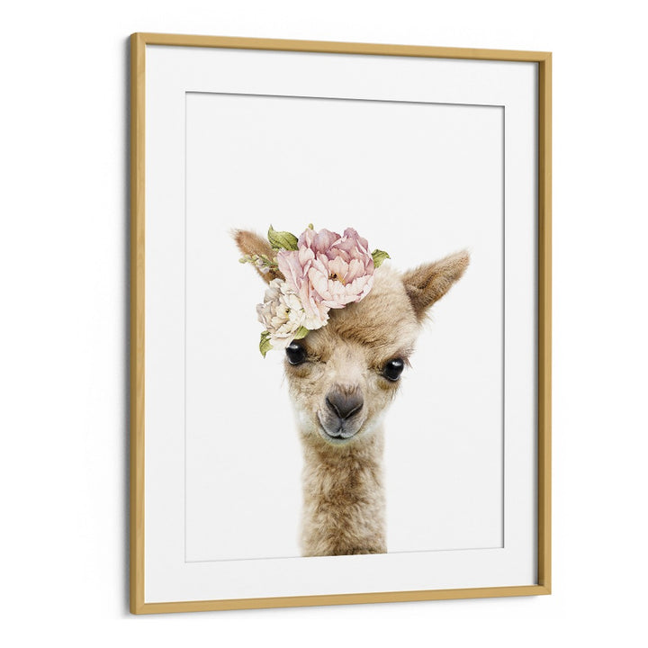 Floral Baby Llama By Lola Peacock Kids Room Paintings in Oak Wood Frame With Mount