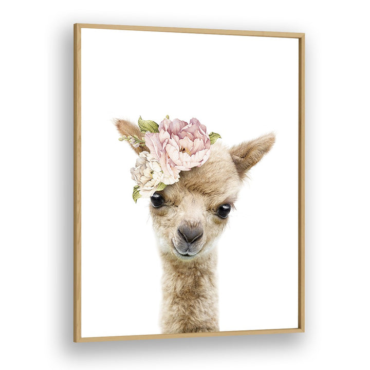 Floral Baby Llama By Lola Peacock Kids Room Paintings in Oak Wood Plain Frame