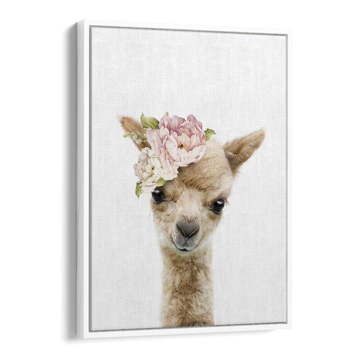 Floral Baby Llama By Lola Peacock Kids Room Paintings in White Floater Frame