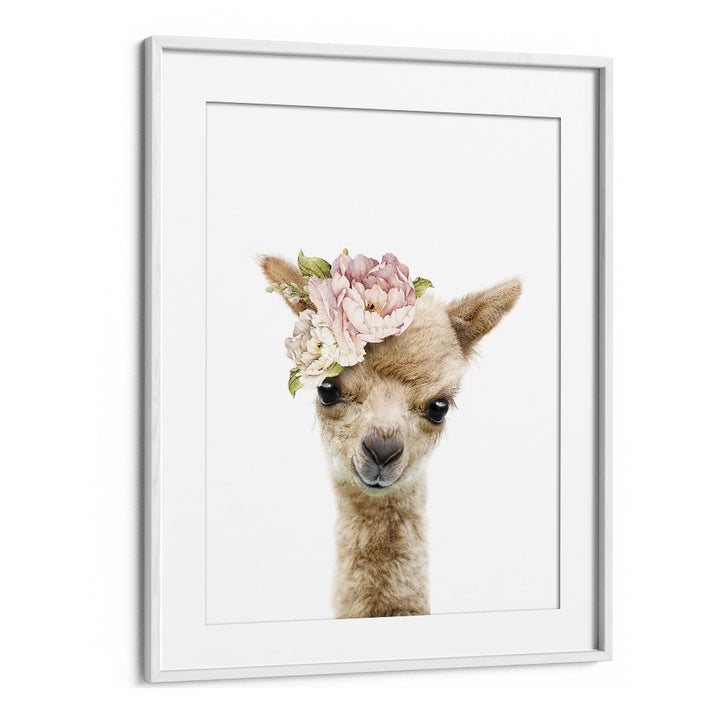 Floral Baby Llama By Lola Peacock Kids Room Paintings in White Frame With Mount