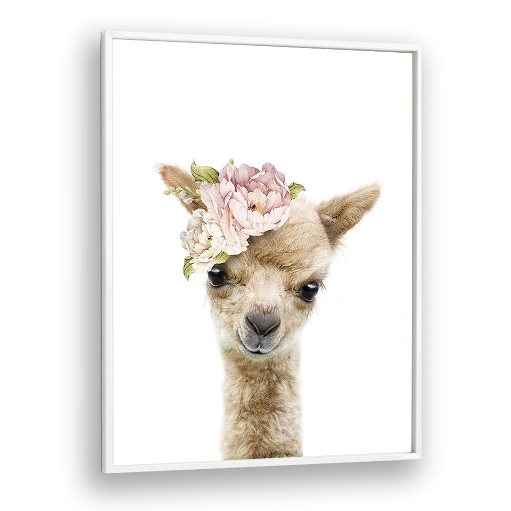 Floral Baby Llama By Lola Peacock Kids Room Paintings in White Plain Frame