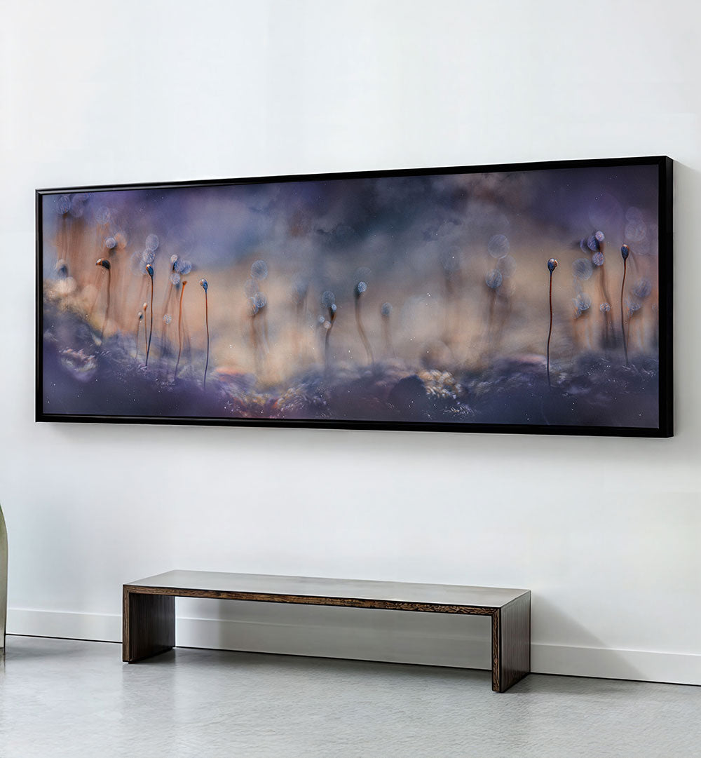 FOREST DREAMS , PANORAMIC ART