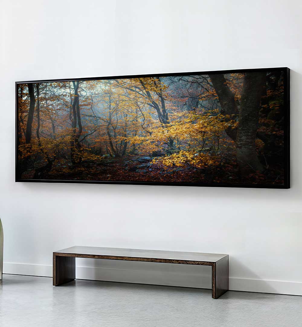 FOREST , PANORAMIC ART