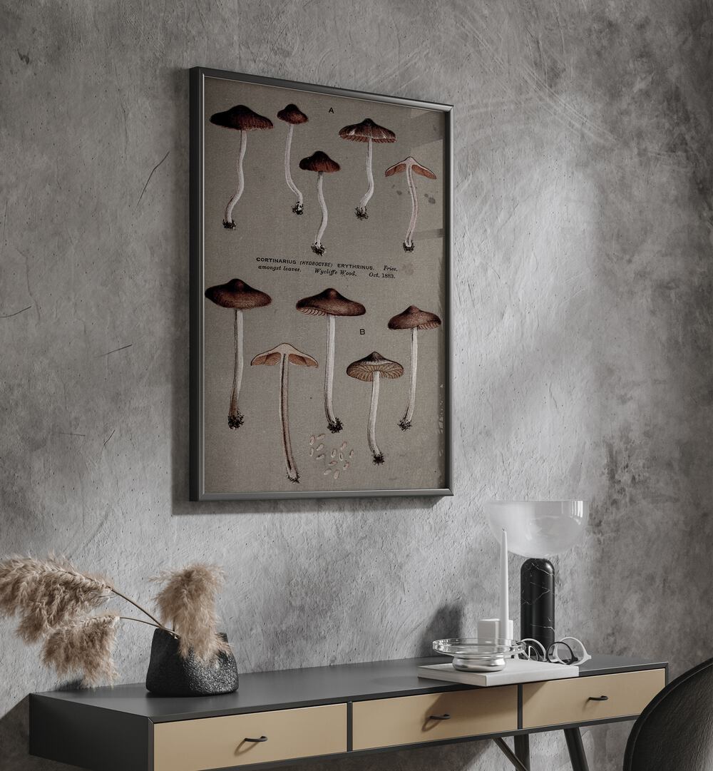 Fungal Odyssey Journey Of The Airborne Caps Gothic Art Prints in Black Plain Frame hanging on wall above console table.