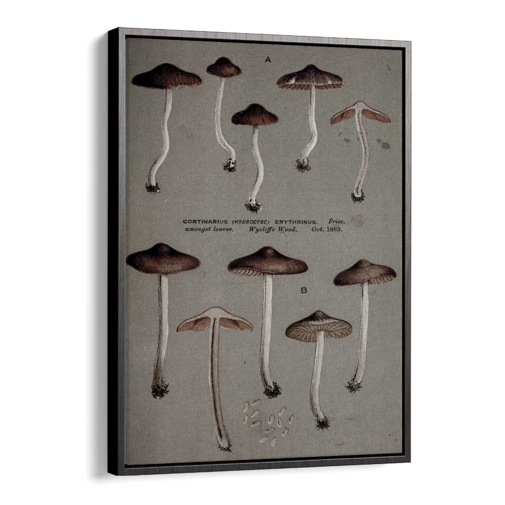 Fungal Odyssey Journey Of The Airborne Caps Gothic Art Prints in Black Floater Frame