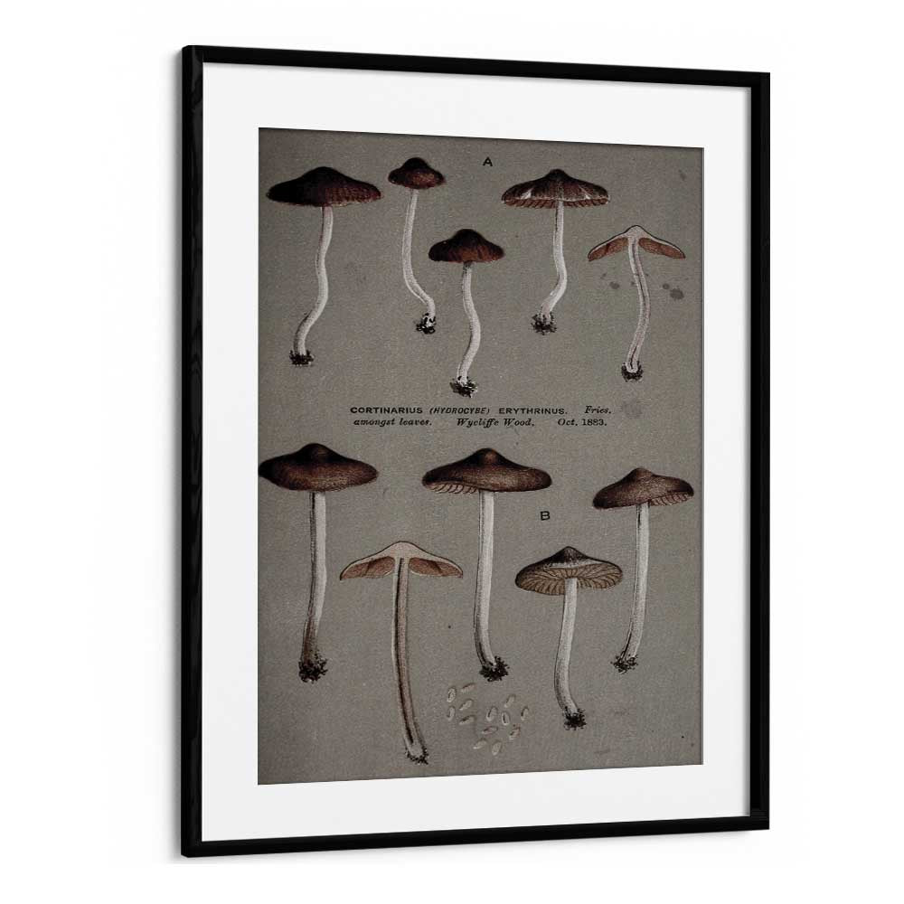 Fungal Odyssey Journey Of The Airborne Caps Gothic Art Prints in Black Frame With Mount