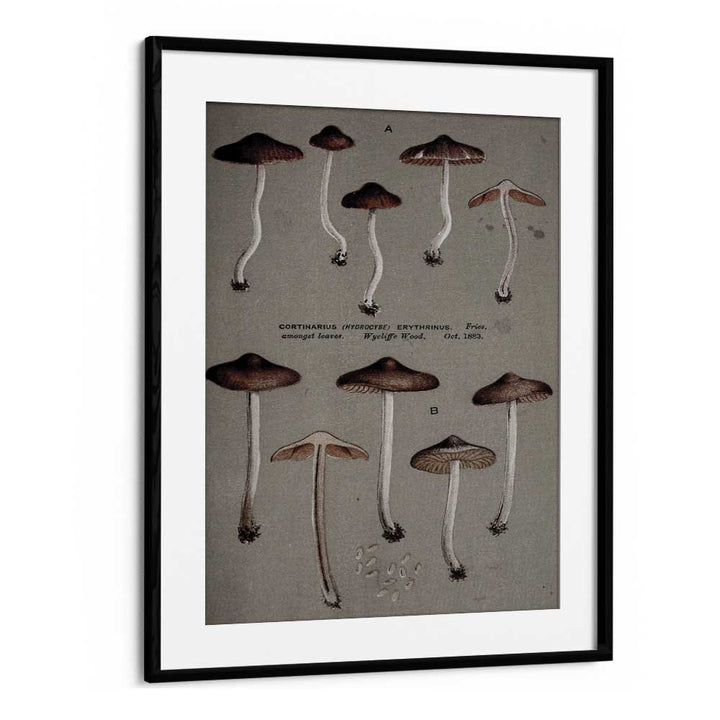 Fungal Odyssey Journey Of The Airborne Caps Gothic Art Prints in Black Frame With Mount