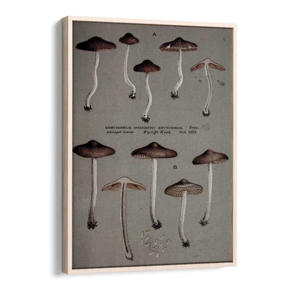 Fungal Odyssey Journey Of The Airborne Caps Gothic Art Prints in Oak Wood Floater Frame