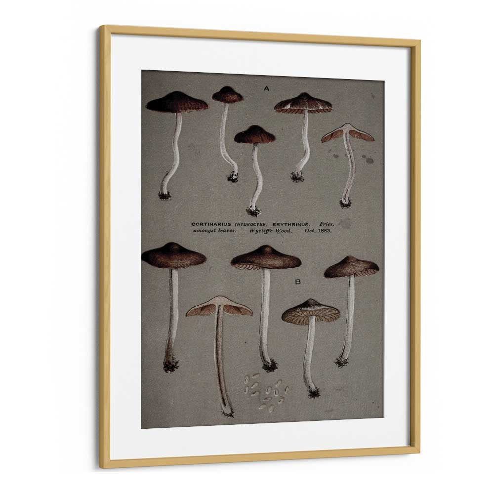 Fungal Odyssey Journey Of The Airborne Caps Gothic Art Prints in Oak Wood Frame With Mount