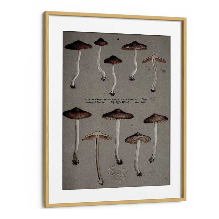 Fungal Odyssey Journey Of The Airborne Caps Gothic Art Prints in Oak Wood Frame With Mount