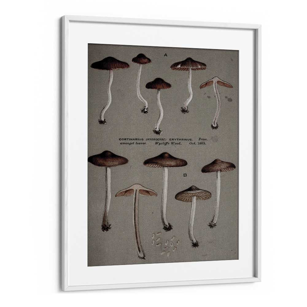 Fungal Odyssey Journey Of The Airborne Caps Gothic Art Prints in White Frame With Mount