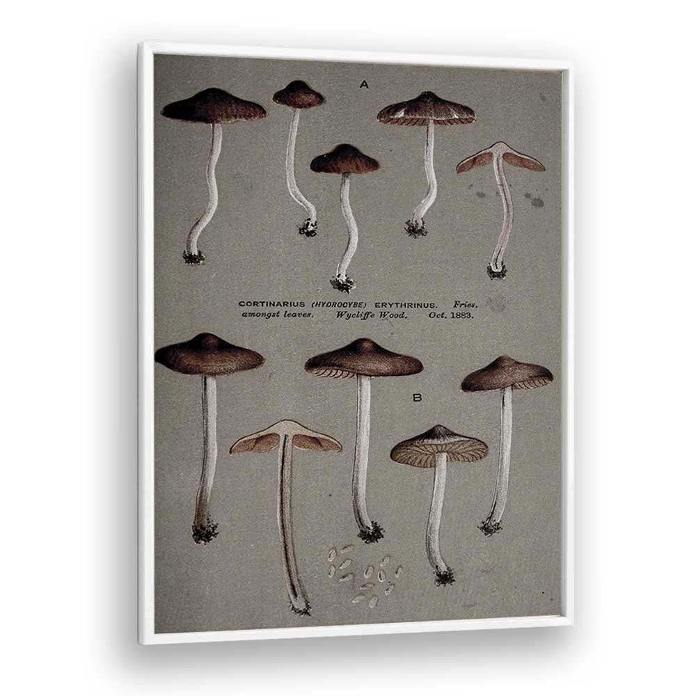 Fungal Odyssey Journey Of The Airborne Caps Gothic Art Prints in White Plain Frame