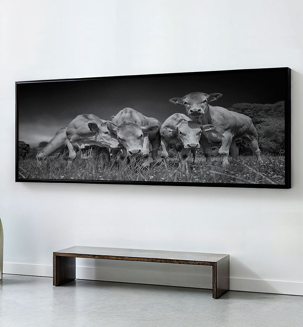FUNNY COWS , PANORAMIC ART