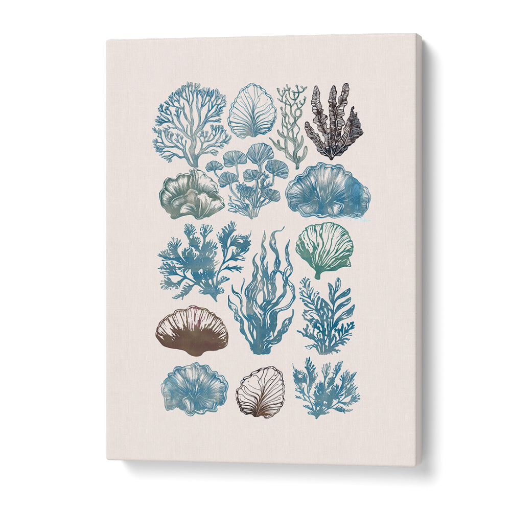 Stylish artwork from A CORAL COLLECTION, BEACH PAINTINGS, showcasing vibrant coral designs for ocean lovers.