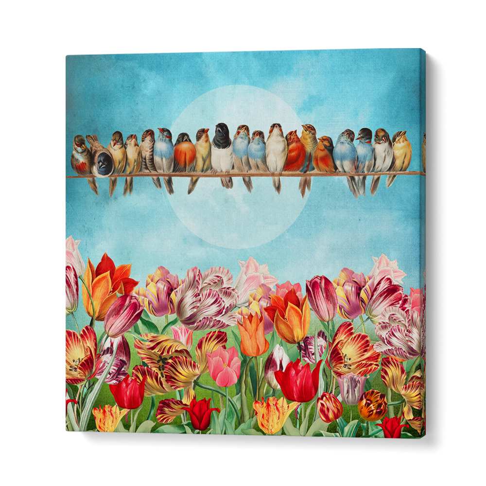 BIRDS OVER TULIP GARDEN