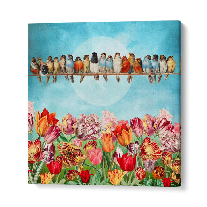 BIRDS OVER TULIP GARDEN