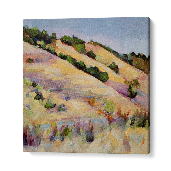 CENTRAL COAST , LANDSCAPE PAINTINGS