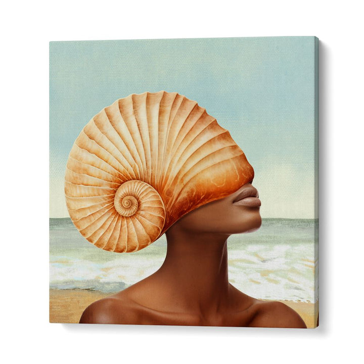 COASTAL SHELL BEAUTY